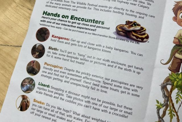 Pamphlet inviting visitors to hold exotic animals at Wildlife Festival in Alberta.