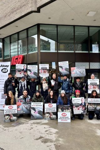 Montreal residents unveil Sobeys "Receipt of Cruelty," following broken promise to go cage-free.