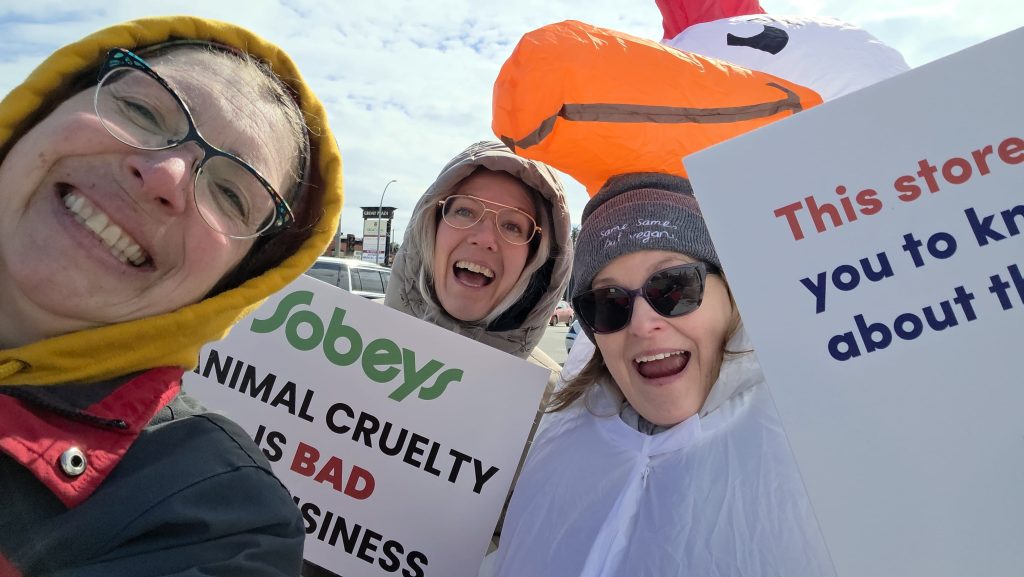 Edmonton advocates at EggSCANada launch.