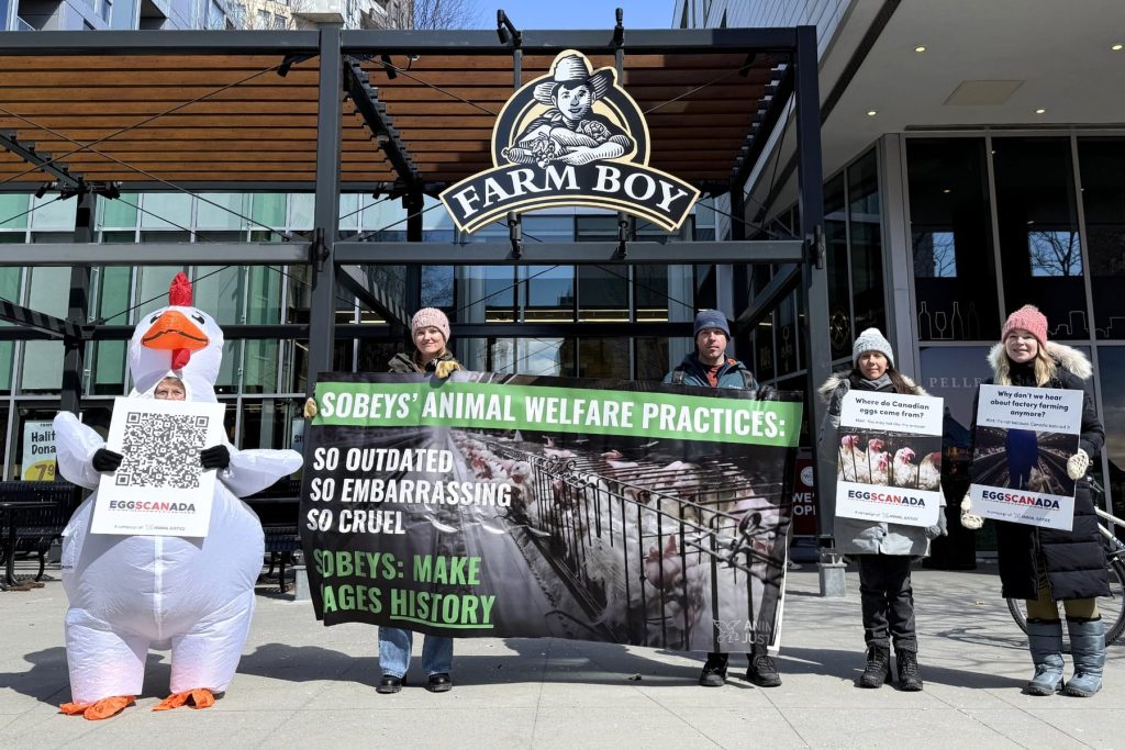 Ottawa advocates at EggSCANada launch.