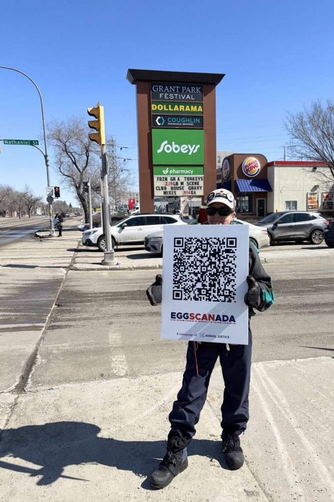 Winnipeg advocate holds giant barcode linking to EggSCANada app.