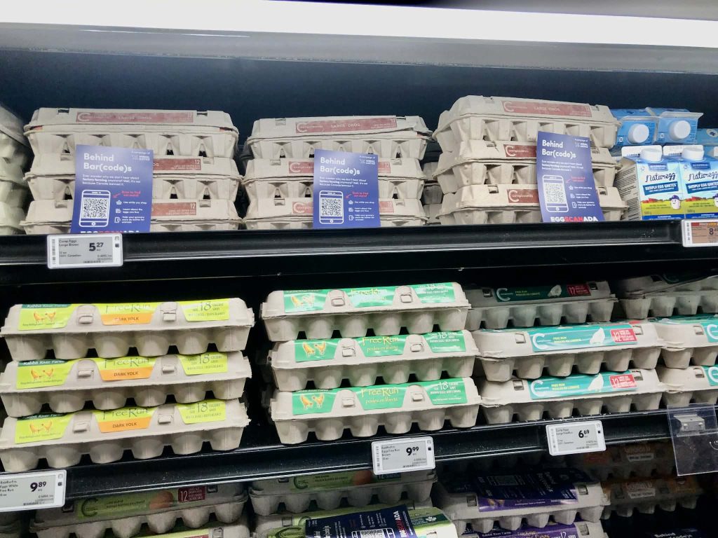 Leaflets on egg cartons during EggSCANada launch event.