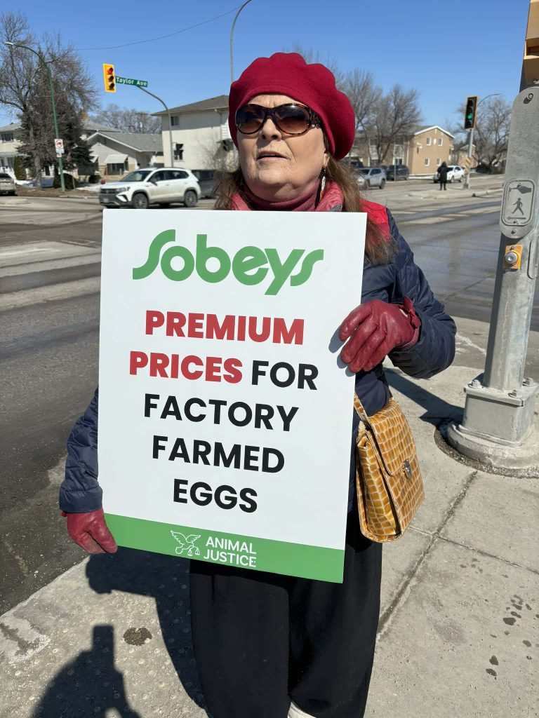 Advocate at EggSCANada launch event.