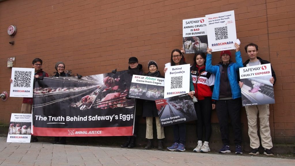 Vancouver advocates at EggSCANada launch.