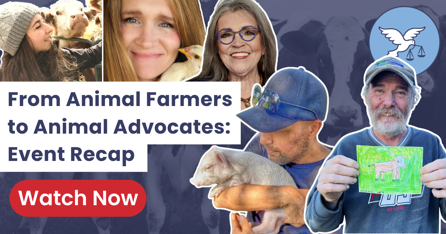 From Animal Farmers to Animal Advocates: Panel Recap - Animal Justice