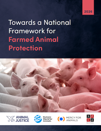 Report: Towards a National Framework for Farmed Animal Protection.