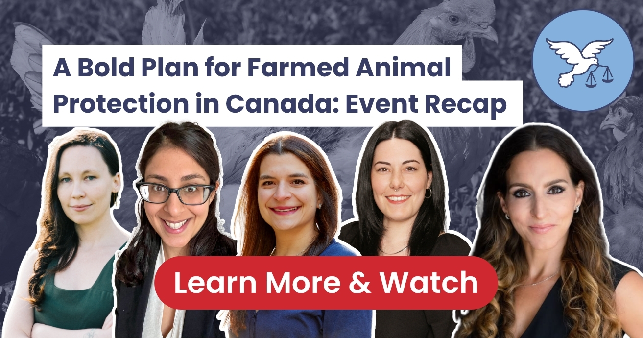 A Bold Plan for Farmed Animal Protection in Canada | Panel Recap ...