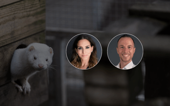 Ethics in Action: Join our Animal Advocacy Networking Event Series