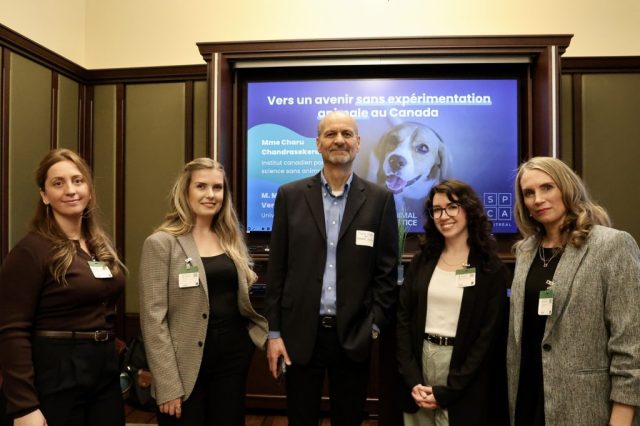 The Animal Justice team at an event on ending animal testing in Canada.