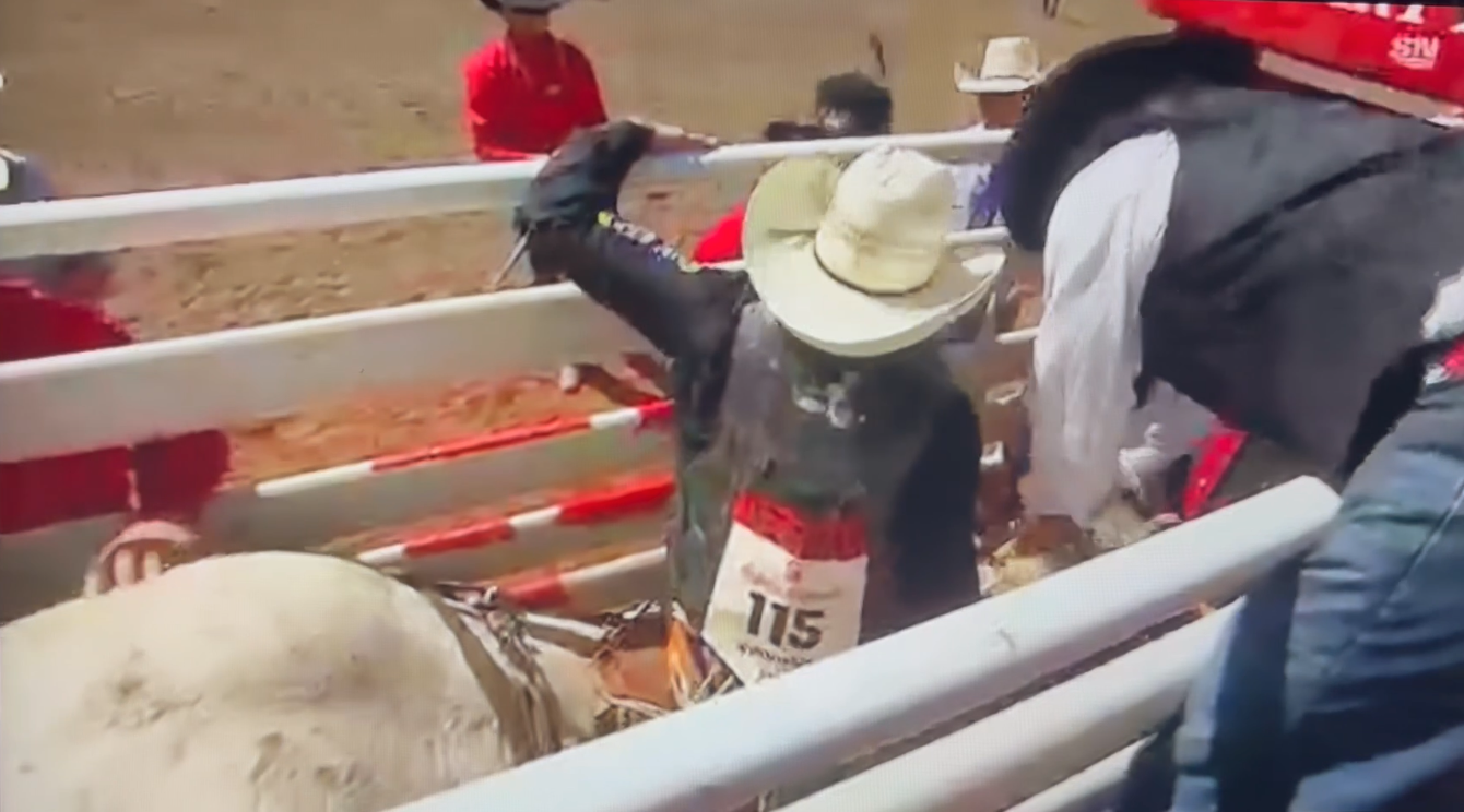 Authorities investigating Calgary Stampede rodeo after cowboy hits horse in head