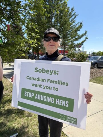 Demonstrators protest outside a Calgary Sobeys store over the company's continued sale of eggs from caged hens.