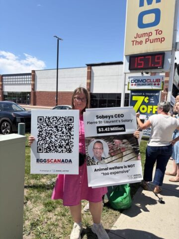 Demonstrators protest outside a Calgary Sobeys store over the company's continued sale of eggs from caged hens.