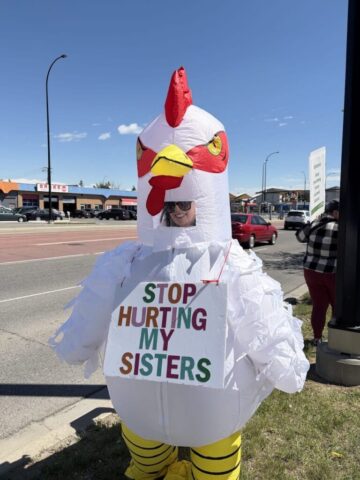 Demonstrators protest outside a Calgary Sobeys store over the company's continued sale of eggs from caged hens.