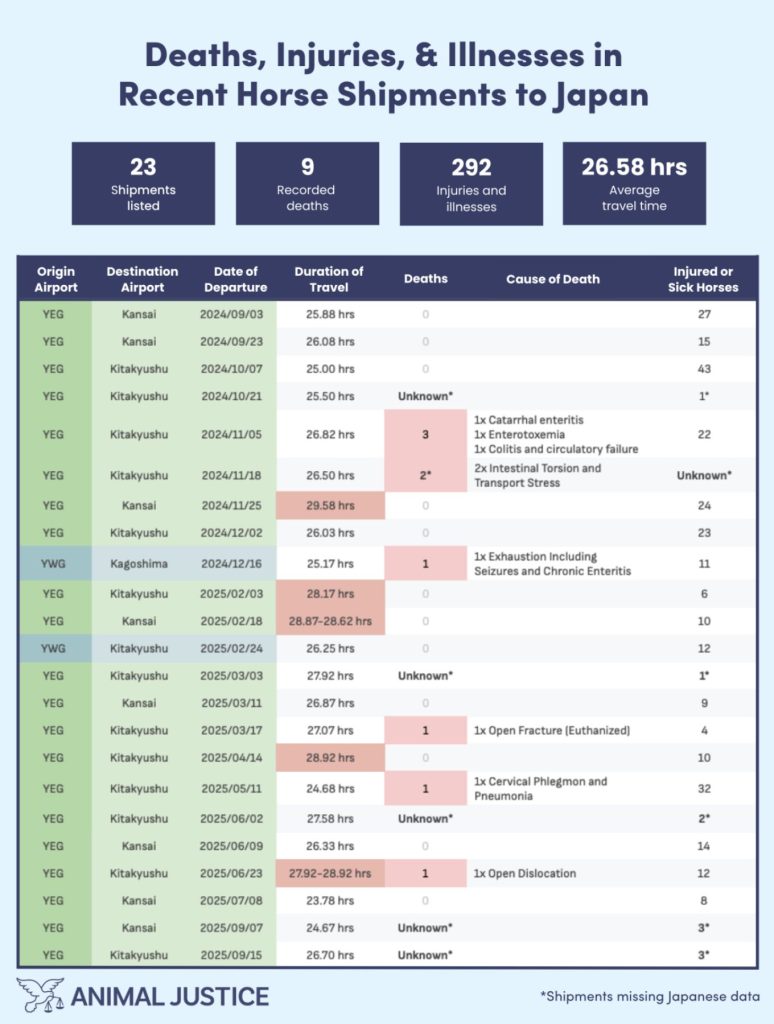 Infographic titled "Deaths, Injuries, & Illnesses in Recent Horse Shipments to Japan" by Animal Justice. It highlights data across 23 shipments: 9 recorded deaths, 292 injuries and illnesses, and an average travel time of 26.58 hours.
