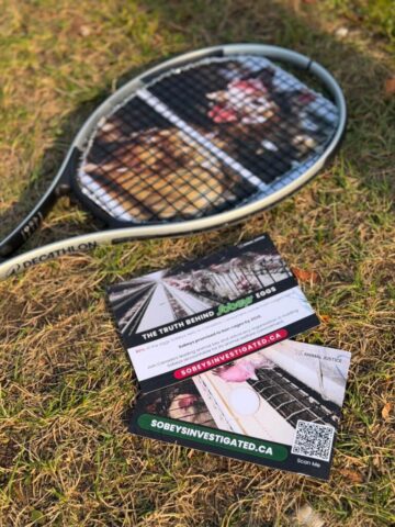 Sobey's Demonstration at the National Bank Open
