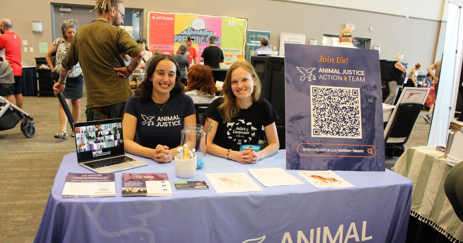 Animal Justice volunteers tabling at veg fest.