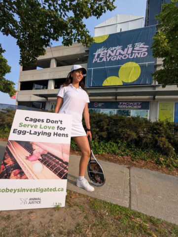 Demonstrators let the public know that Sobeys does not serve love for hens while it continues to sell cruel caged eggs.