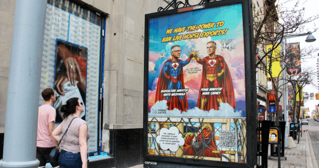 Bus shelter ads show Mark Carney and Heath Macdonald in capes saving Canada's horse.