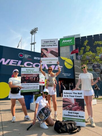 Demonstrators let the public know that Sobeys does not serve love for hens while it continues to sell cruel caged eggs.