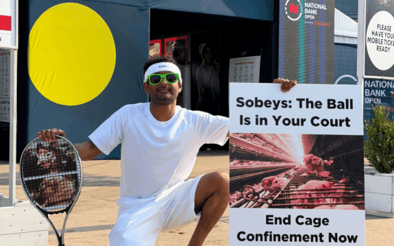 Sobeys Caged Eggs: Animal Justice Takes Action at the National Bank Open