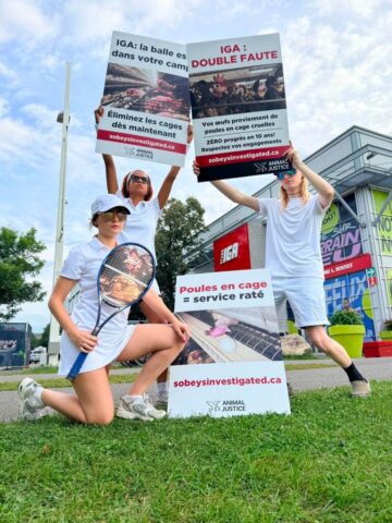Demonstrators let the public know that Sobeys does not serve love for hens while it continues to sell cruel caged eggs.