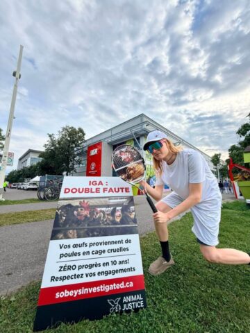 Demonstrators let the public know that Sobeys does not serve love for hens while it continues to sell cruel caged eggs.