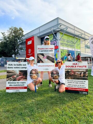 Demonstrators let the public know that Sobeys does not serve love for hens while it continues to sell cruel caged eggs.
