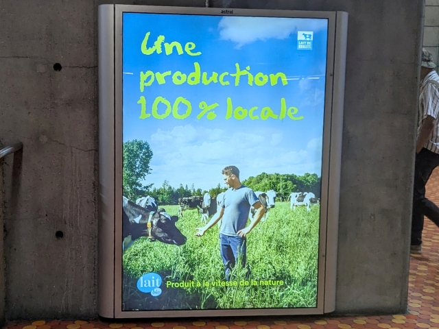 Misleading dairy ad by Producteurs de lait du Quebec. Misleading Quebec dairy ads showing cows in a pasture.