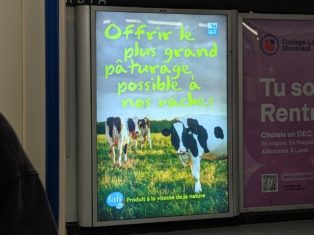 Misleading dairy ad by Producteurs de lait du Quebec. Misleading Quebec dairy ads of cows in pasture.